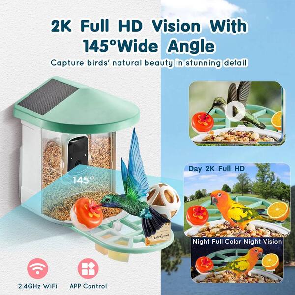 Justincity Hopper Feeder with Camera 2K HD AI Identify Bird