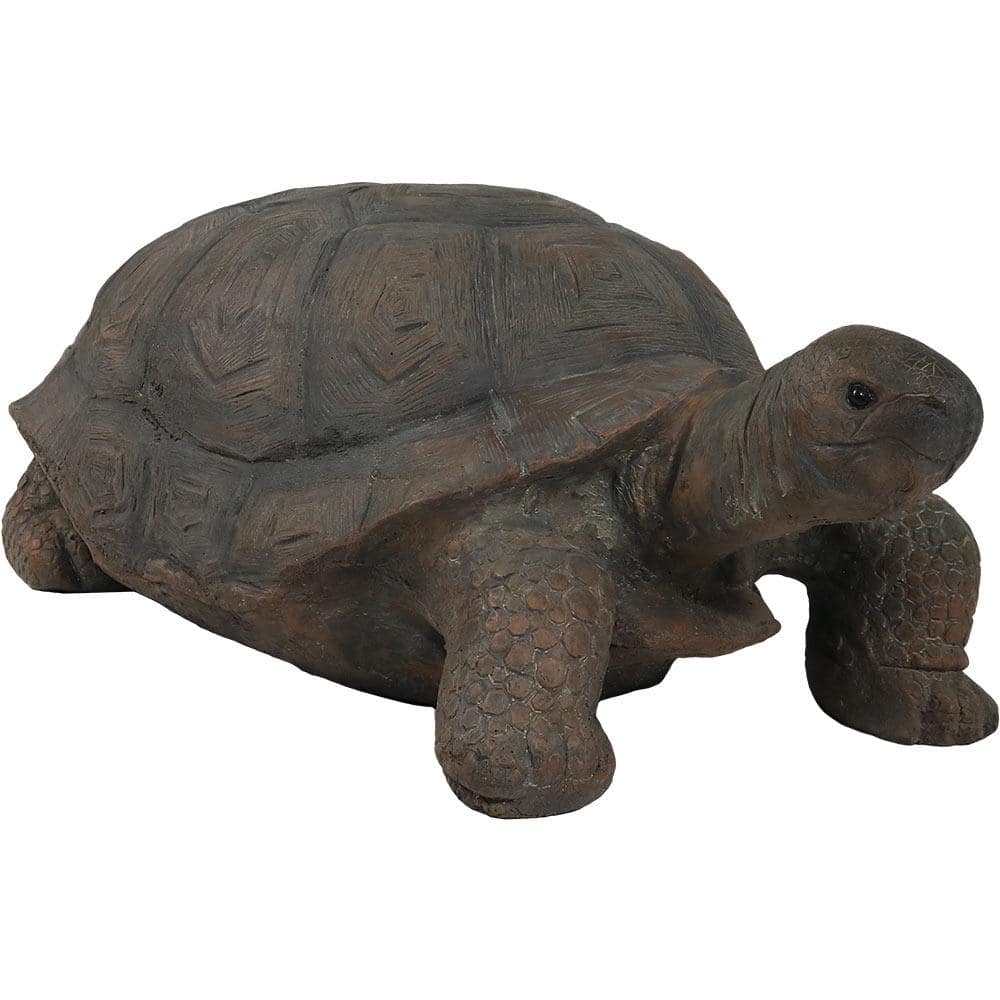 Turtle Max Reptile Gifts > 72 Mini Frogs in Assorted Colors & Styles