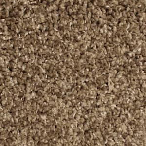 Pioneer - Longhorn - Brown 73.5 oz. SD Polyester Texture Installed Carpet