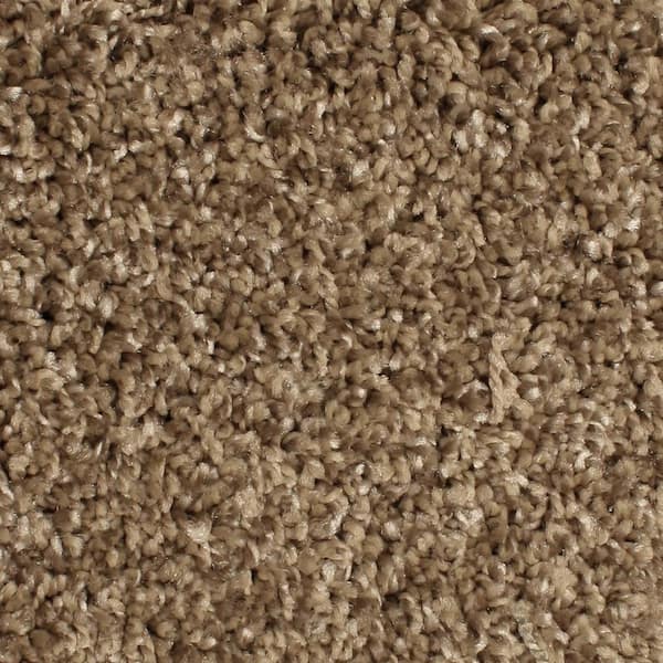 Home Decorators Collection Pioneer - Longhorn - Brown 73.5 oz. SD Polyester Texture Installed Carpet