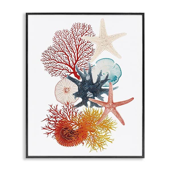 Stupell Industries Coral and Undersea Creatures by Ramona Murdock Black Framed Animal Giclee Art Print 20 in. x 16 in.