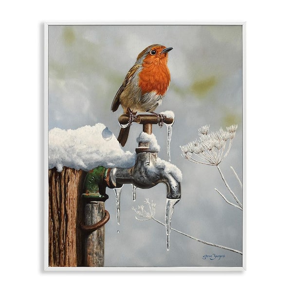 Stupell Industries Robin Bird and Winter Scene by Steve Burgess 1-Piece Framed Graphic Print Animal Poster Art Print 20 in. x 16 in.