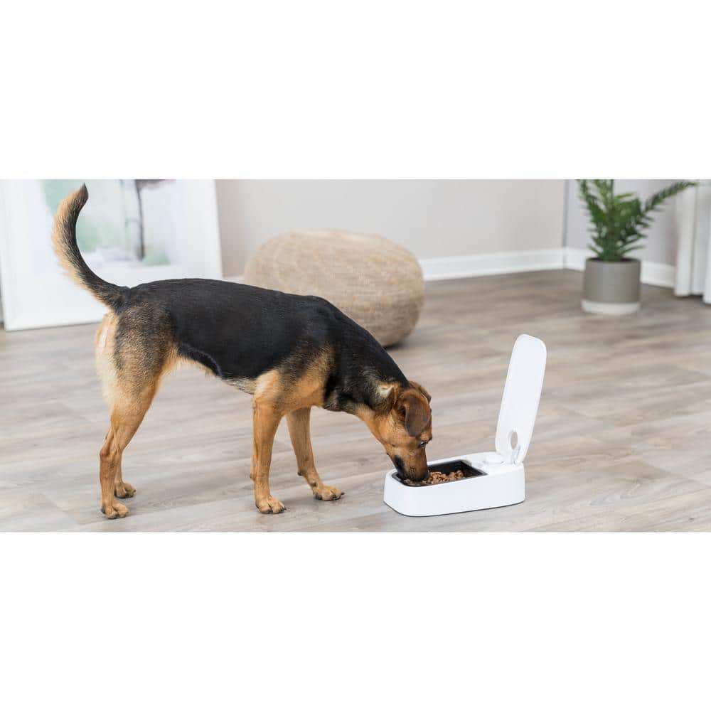 White Automatic Single Serving Pet Feeder with Timer