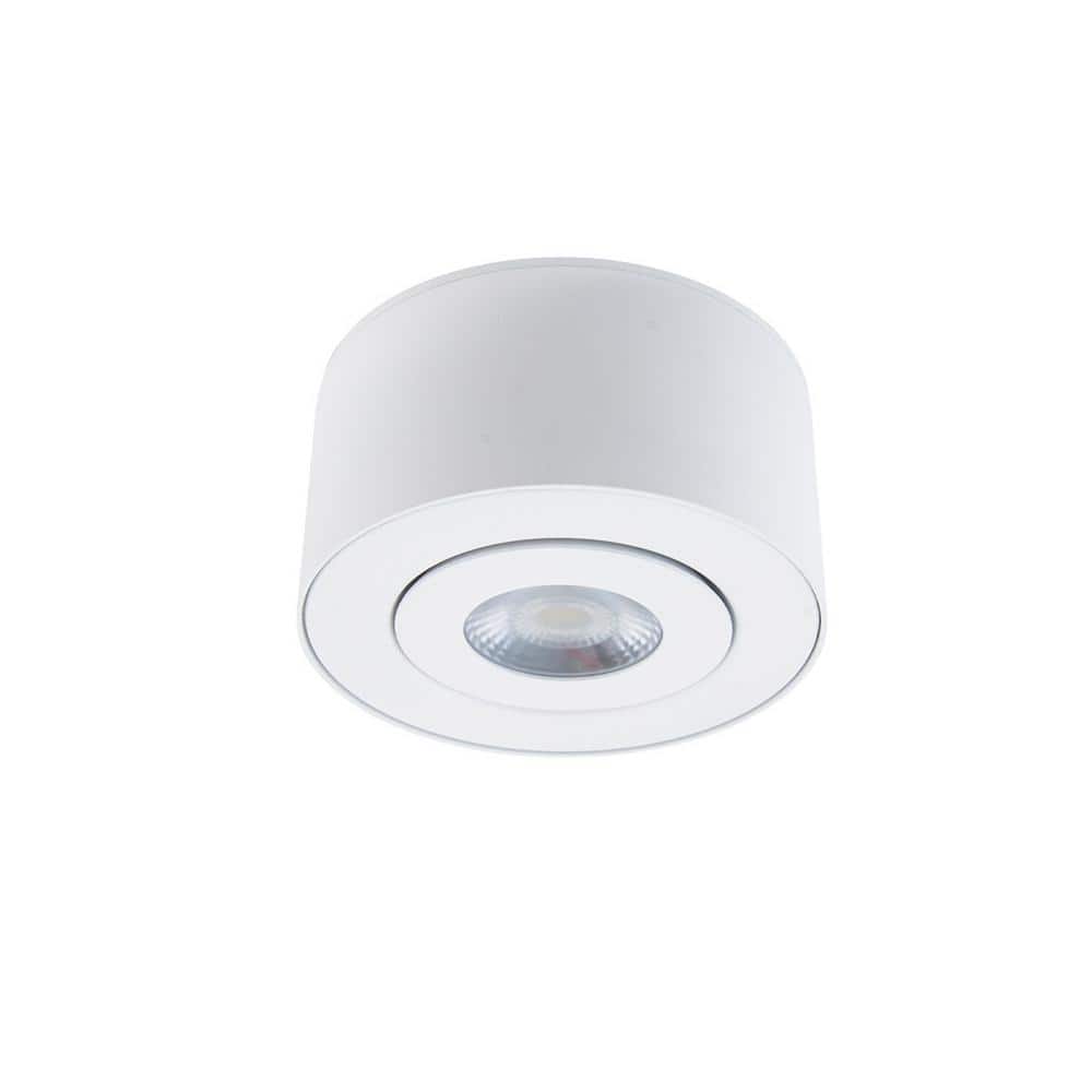 Peek Adjustable Beam LED Indoor/Outdoor Flush Mount in White