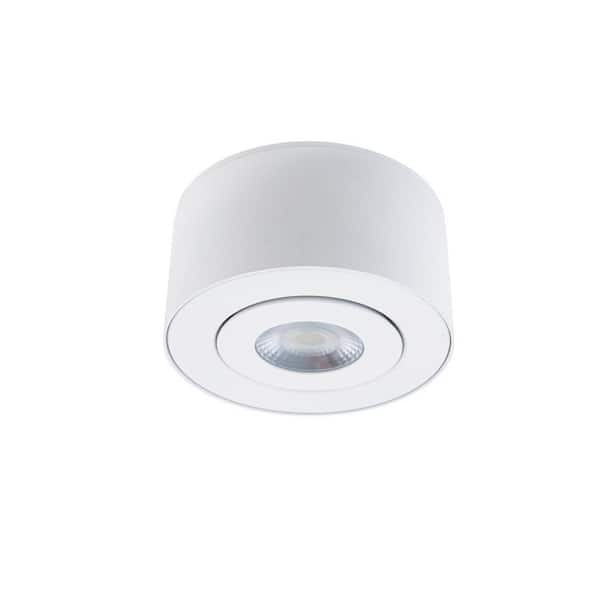 WAC Lighting Peek 1-Light White LED Outdoor Flush Mount Light with Universal Voltage and Selectable CCT