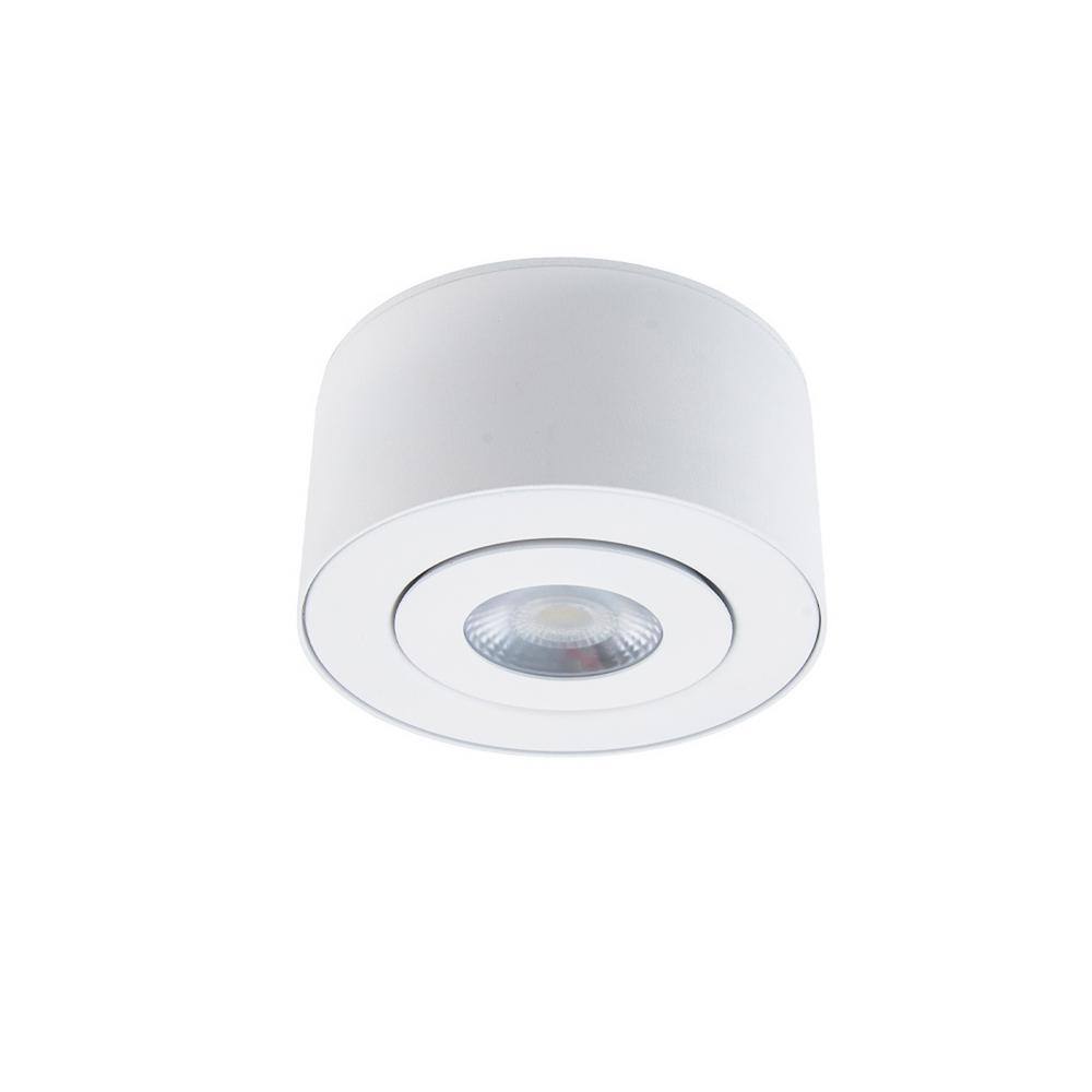 Peek Adjustable Beam LED Indoor/Outdoor Flush Mount in White
