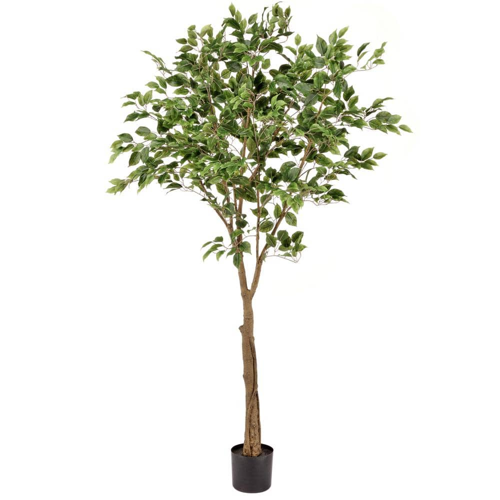 Indoor/Outdoor 6'' Artificial Polyester/Fabric Ficus Tree, Green Fake selling Greenery P