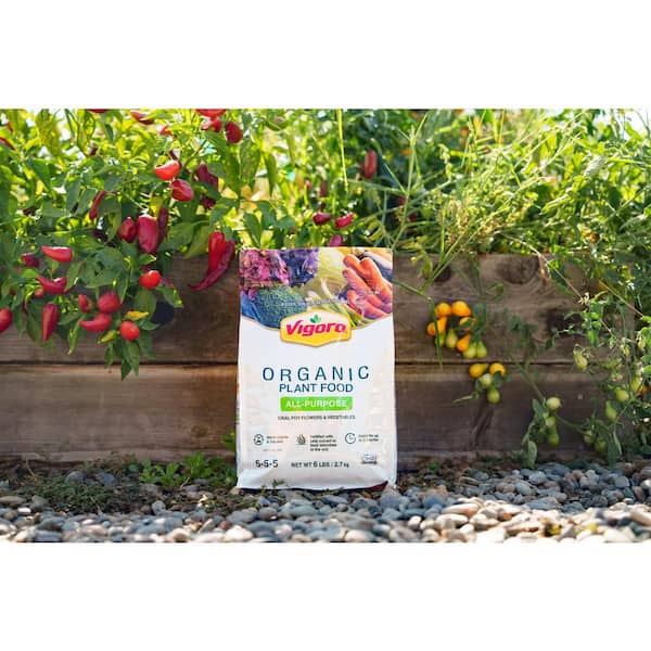 Vigoro 6 lb. Organic All Purpose Plant Food 5-5-5 (6-Pack) P0001CS