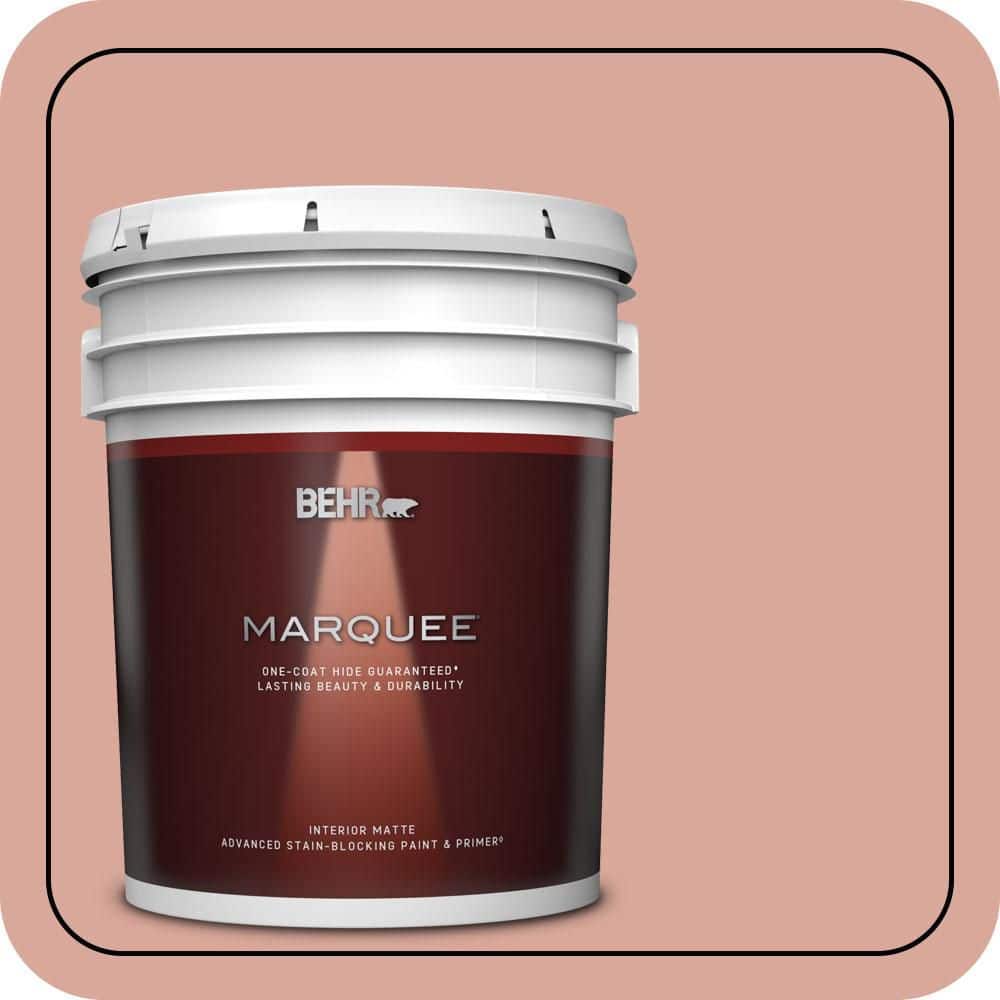 5 gal. #PMD-70 Cottage Rose Matte Interior Paint & Primer product image for price tracking