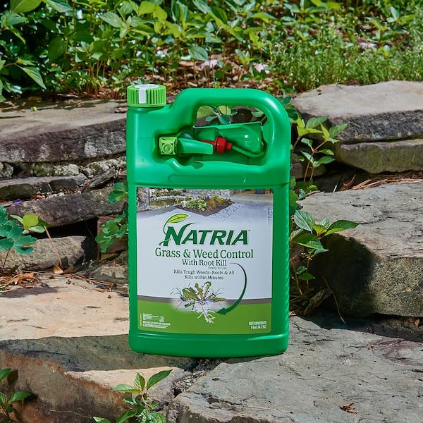 Natria 1 Gal Ready To Use Natria Grass And Weed Control With Root Kill 707201a The Home Depot