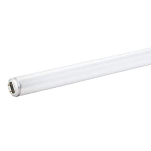 15-Watt 18 in. Linear T8 Fluorescent Tube Light Bulb Cool White (4100K)