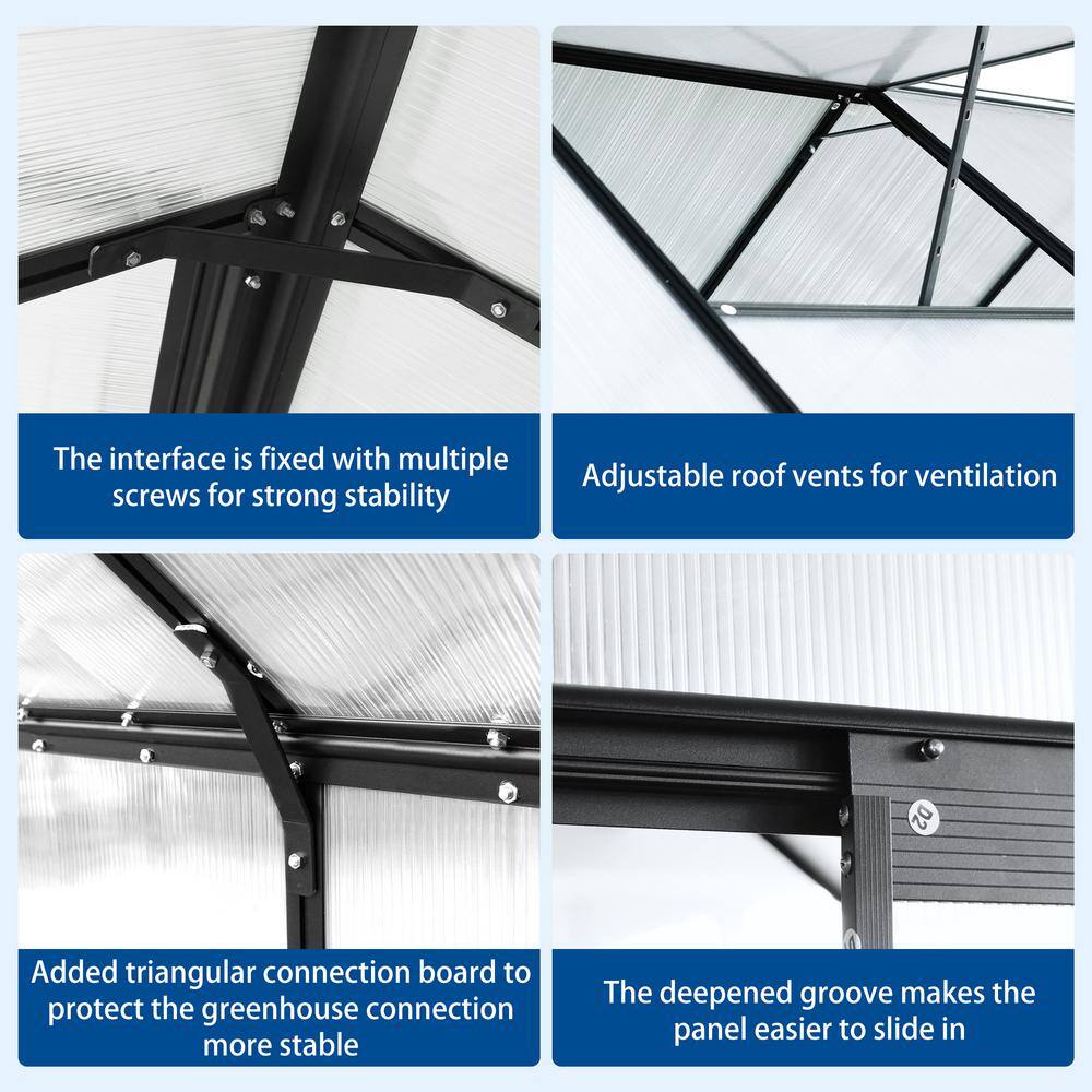 Black 6x12 FT Polycarbonate Walk-In Greenhouse with Aluminum Frame