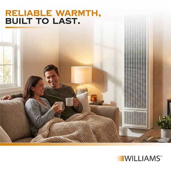 Williams 25,000 BTU Top Vent Natural Gas Wall Heater 2509822 - The