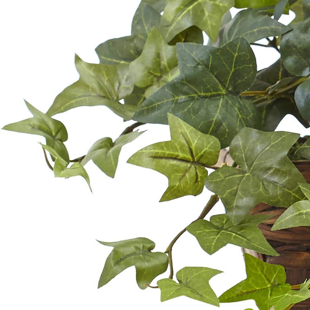 Lush Green Ivy 30" Tabletop Potted Plant in Brown Basket