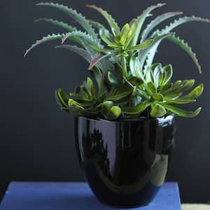 11 in. Artificial Succulent Plants in Pot