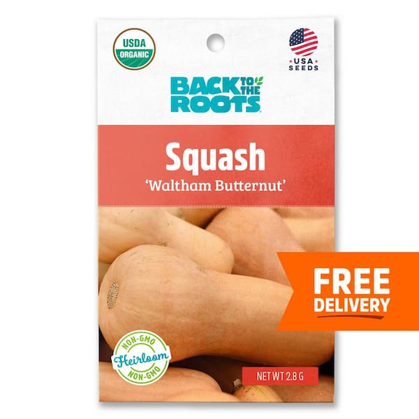 Back to the Roots Organic Winter Waltham Butternut Squash Seed (1-Pack)