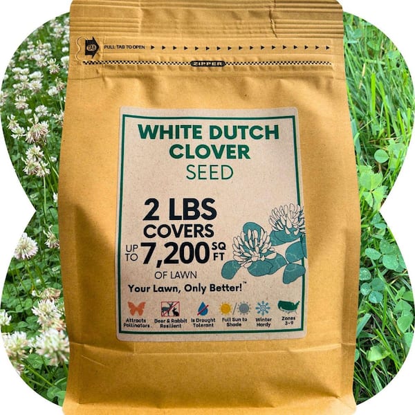 Flawn Seed Kits 2 lb. White Dutch Clover Flower Lawn Seed, Organic Coated, Low Mnt, Pollinator Friendly, Covers Up to 7,200 Sq. ft.