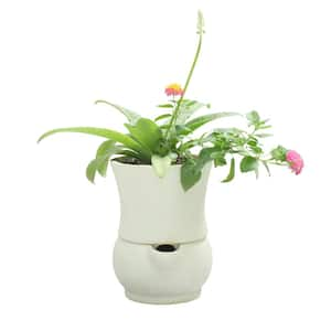 6 in. Dia x 8 in. H Composite Self Watering Belly Pot in White