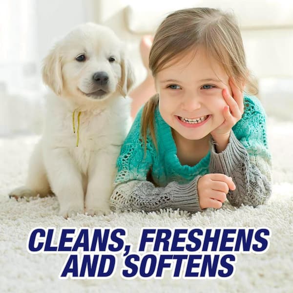  Resolve Carpet Multi-fabric Cleaner, 22-Ounce : Health &  Household