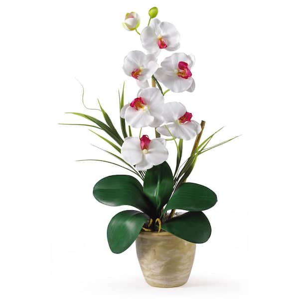 Nearly Natural 21 in. Artificial Phalaenopsis Silk Orchid Flower Arrangement in White