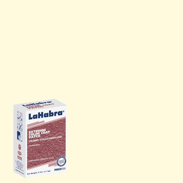LaHabra 9 lb. Exterior Stucco Color Patch #53 Pure Ivory