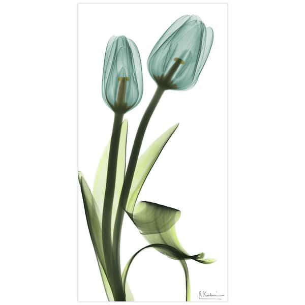 Empire Art Direct "Blue Tulips" Unframed Free Floating Tempered Glass Panel Graphic Wall Art Print 24 in. x 48 in.
