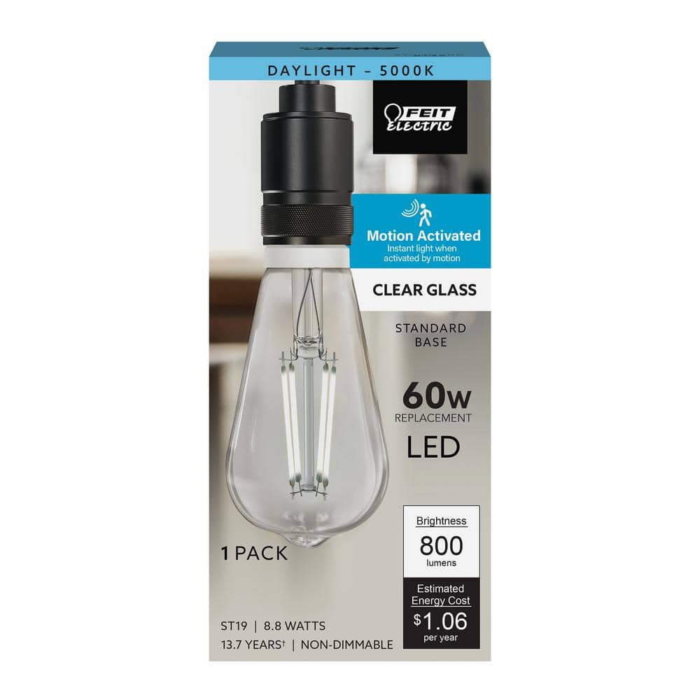 Feit Electric 60Watt Equivalent ST19 Straight Filament Clear Glass
