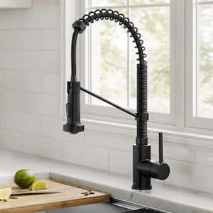 Bolden Single-Handle Pull-Down Sprayer Kitchen Faucet with Dual Function Sprayhead in Matte Black