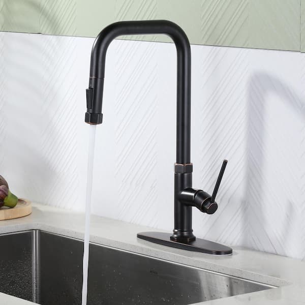 Single Handle 2-Water Modes Pull Down Sprayer Kitchen Faucet with Stainless Steel and Brass in Oil Rubbed Bronze