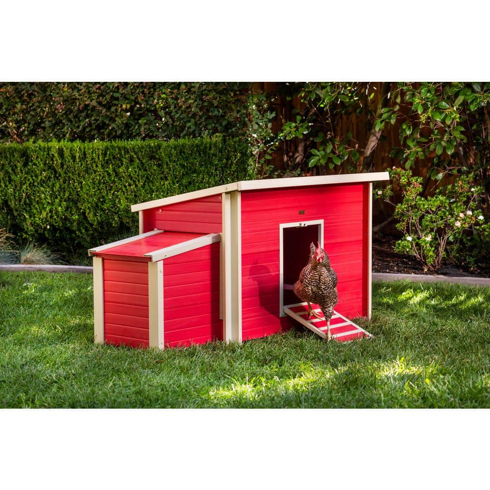 Red Eco-Friendly Composite Chicken Barn with Nesting Box