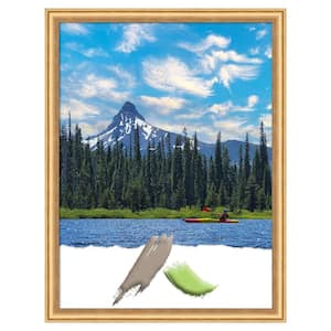 Salon Scoop Gold Wood Picture Frame Opening Size 18x24 in.
