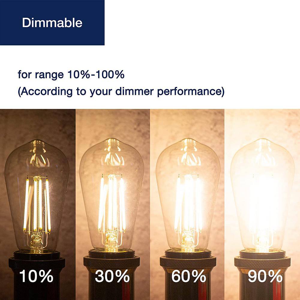Vintage Edison Clear Glass Dimmable LED Bulbs, Soft White, 4-Pack