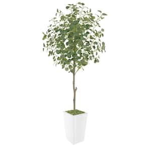 7 ft. Artificial Eucalyptus Tree in Pot Ideal for Home Decor and Housewarming Gift