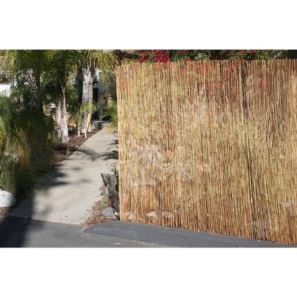 L Bamboo Coffee Peeled Reed Fencing Backyard X-Scapes 6 ft H x 16 ft 