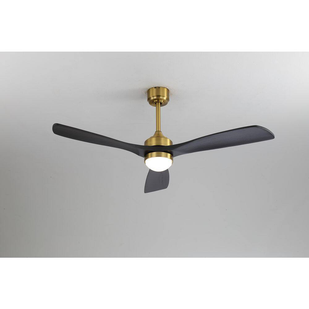 52 in. Indoor/Outdoor Standard Modern Gold Flush and Downrod Mount Ceiling Fan with LED Light, Quiet DC Motor and Remote price history on PriceWatchPro