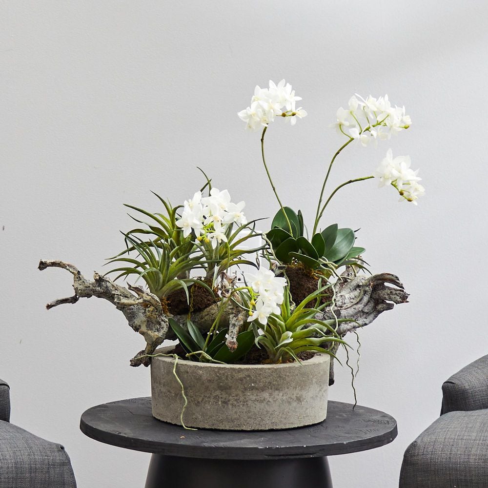Elegant White Orchid and Green Succulent 22" Tabletop Centerpiece