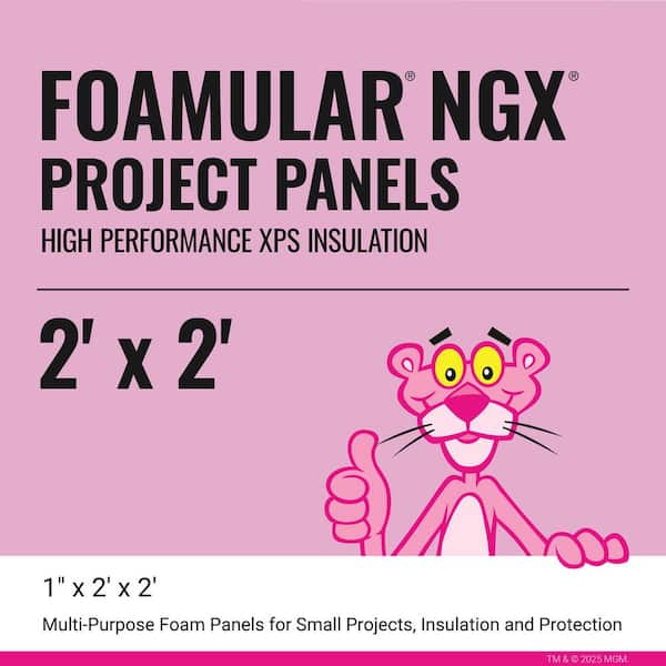 FOAMULAR NGX 1 in. x 2 ft. x 2 ft. R-5 Project Panel XPS Rigid Foam Board Insulation