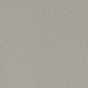 Soft Breath Plus III - Wilshire - Gray 60 oz. SD Polyester Texture Installed Carpet