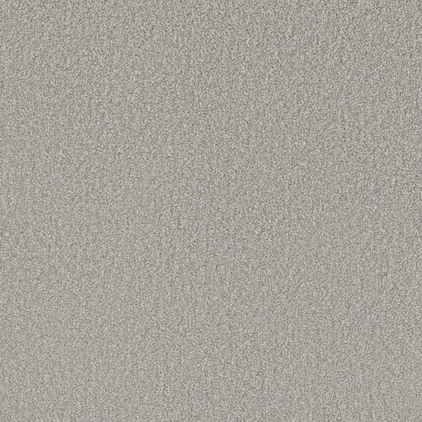 Home Decorators Collection Soft Breath Plus III - Wilshire - Gray 60 oz. SD Polyester Texture Installed Carpet