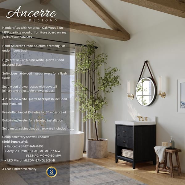 Momo 24 in. W Single Sink Freestanding Black Oak Bath Vanity with Alpines White Quartz Top