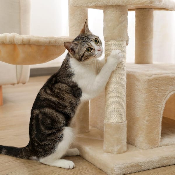 42 inch hot sale cat tree