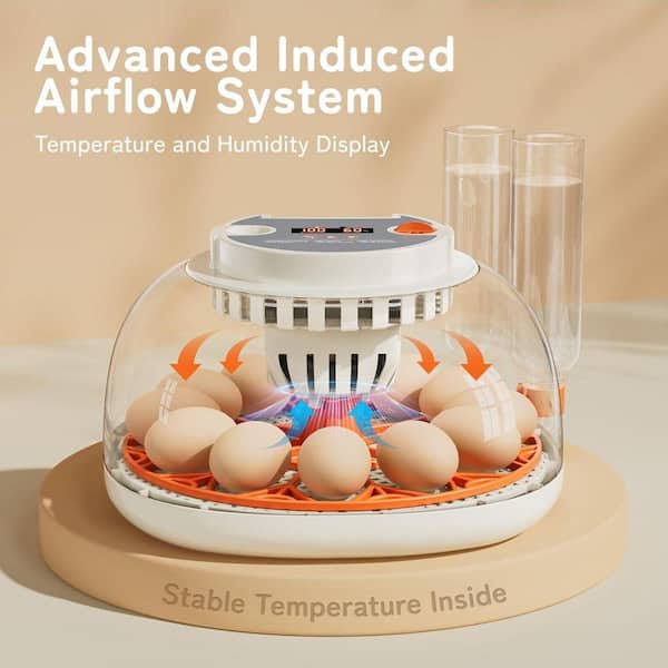 KIWDZFU 12 Egg Incubator with Temperature Humidity Display
