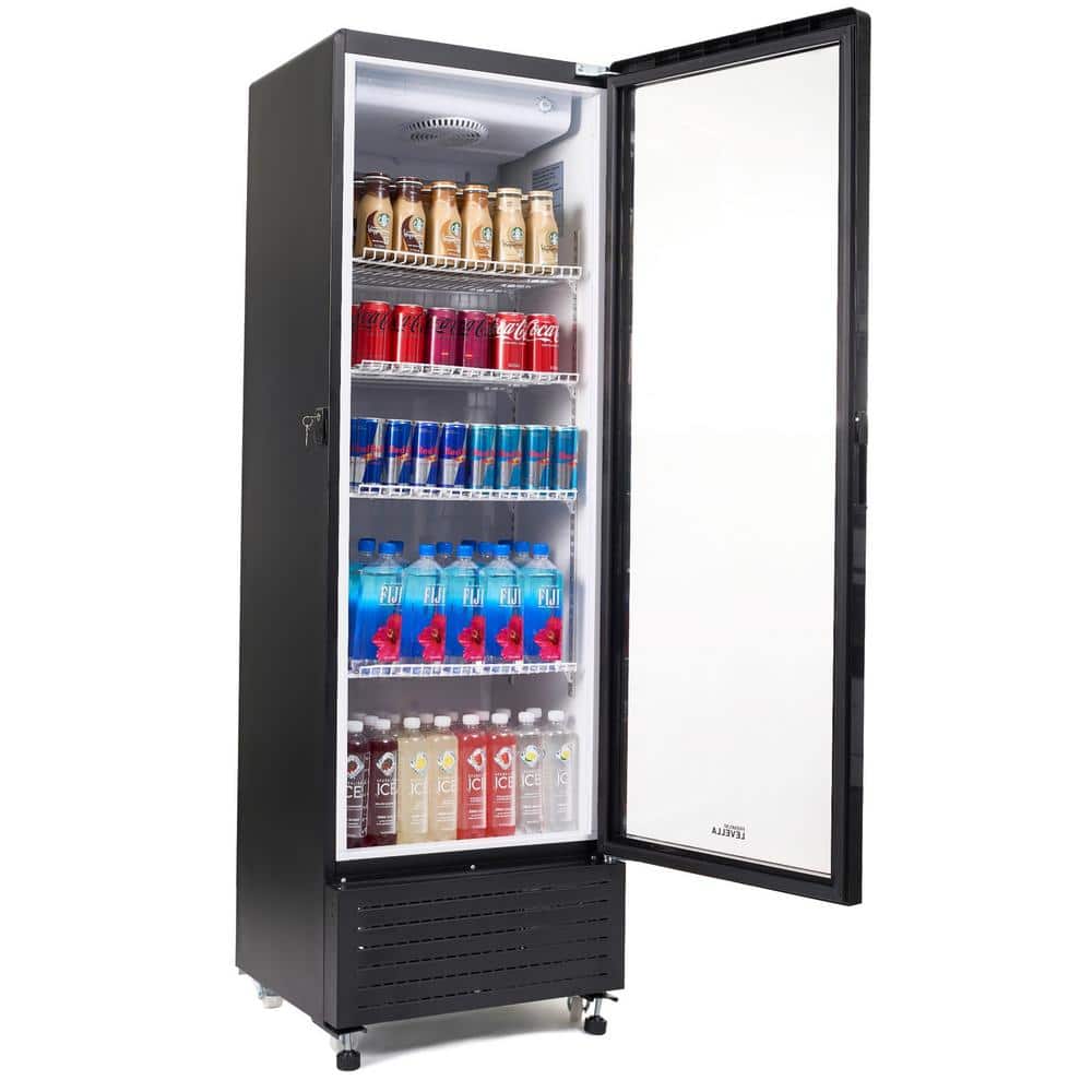 Black 10.0 Cu. Ft. Single Door Display Refrigerator with Glass Door
