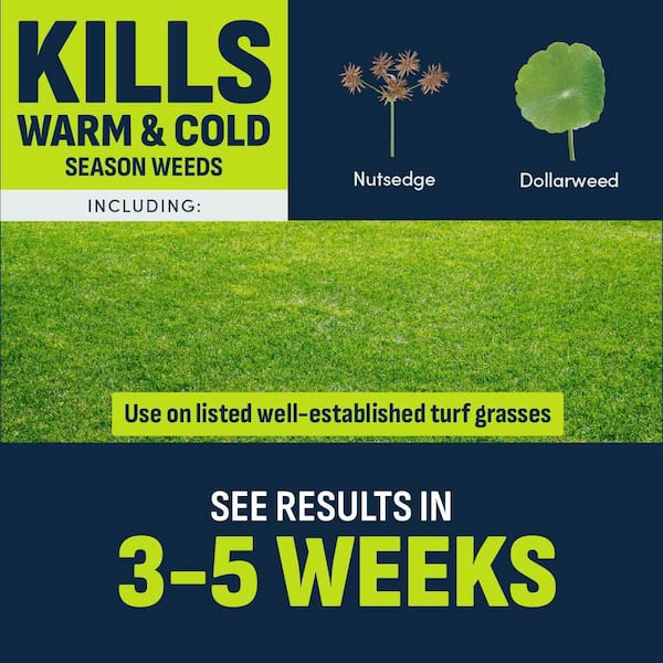 32 oz. 8,000 sq. ft. Nutsedge Weed Killer Ready-To-Spray