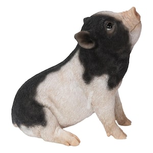 Baby Pig Sitting Black and White Statues