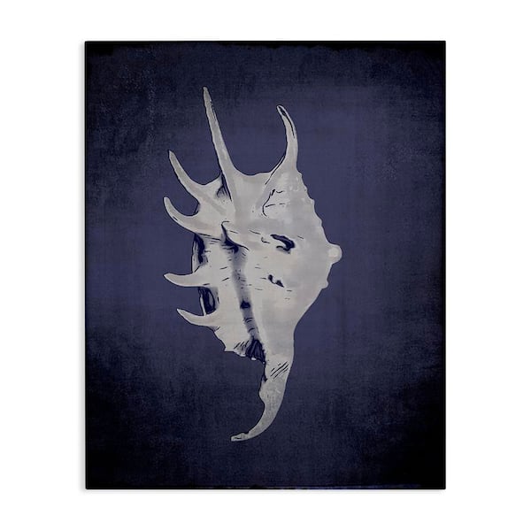 Stupell Industries Spider Conch on Indigo by Graffi tee Studios Unframed Coastal Graphic Art Print 20 in. x 16 in.