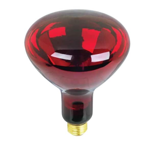 Feit Electric BR40 250-Watt 120-Volt Incandescent Red Heat Lamp Light Bulb