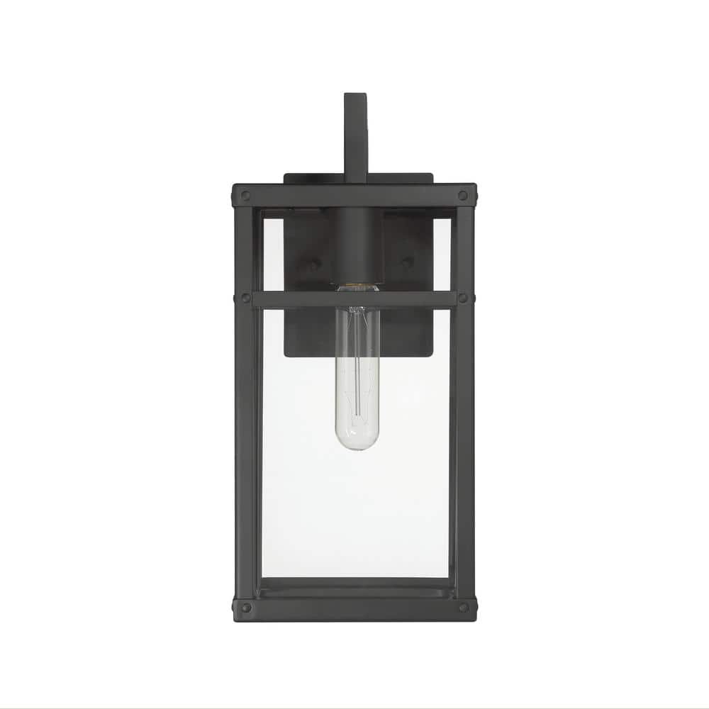 Blake Black Metal and Clear Glass Outdoor Sconce