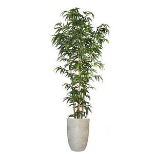 6.67 ft. Tall Artificial Faux Real Touch Bamboo Tree with Natural Poles and Fiberstone Planter