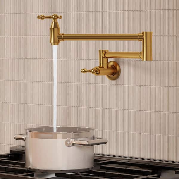 EVERSTEIN Wall Mounted Cold-Water Pot Filler with 2 Handle in